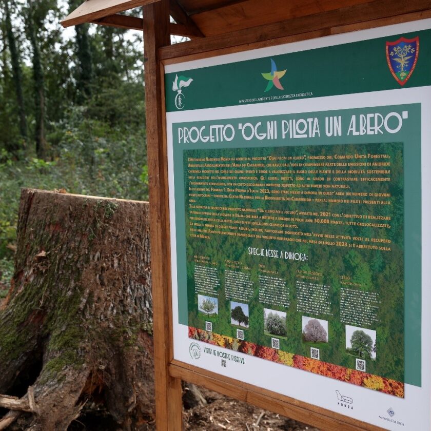 formula 1 ogni pilota un albero