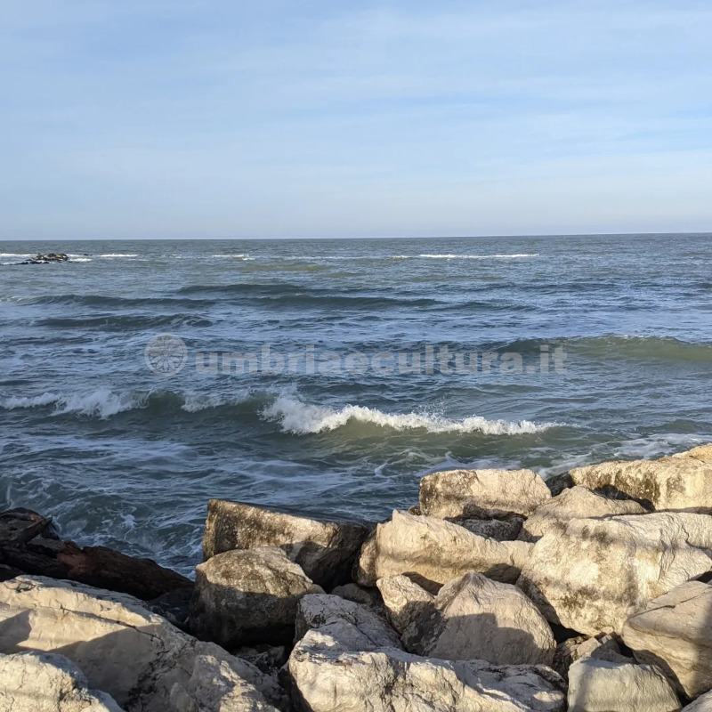 adriatico mare d'inverno pesaro